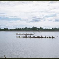 Boat races : rowing pirogues in mid-stream