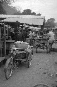 Loaded samlaws at market
