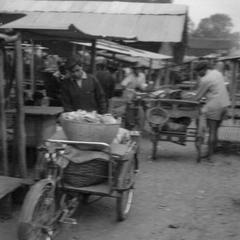 Loaded samlaws at market