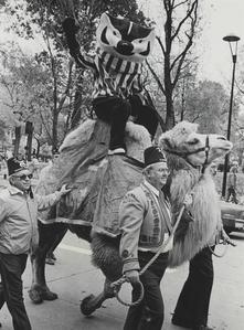 Bucky Badger riding a camel