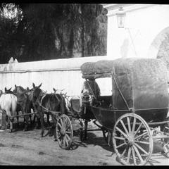 Carriage and team for Mitla