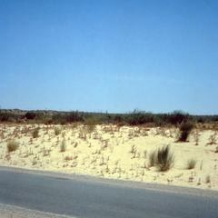The Jafara Plain, a Semi-Desert Area in the Western Part of Tripolitania