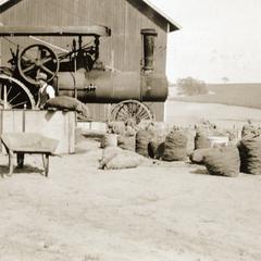 Treating potatoes