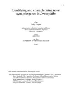 Identifying and characterizing novel synaptic genes in Drosophila