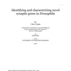 Identifying and characterizing novel synaptic genes in Drosophila