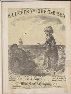 Bird from o'er the sea