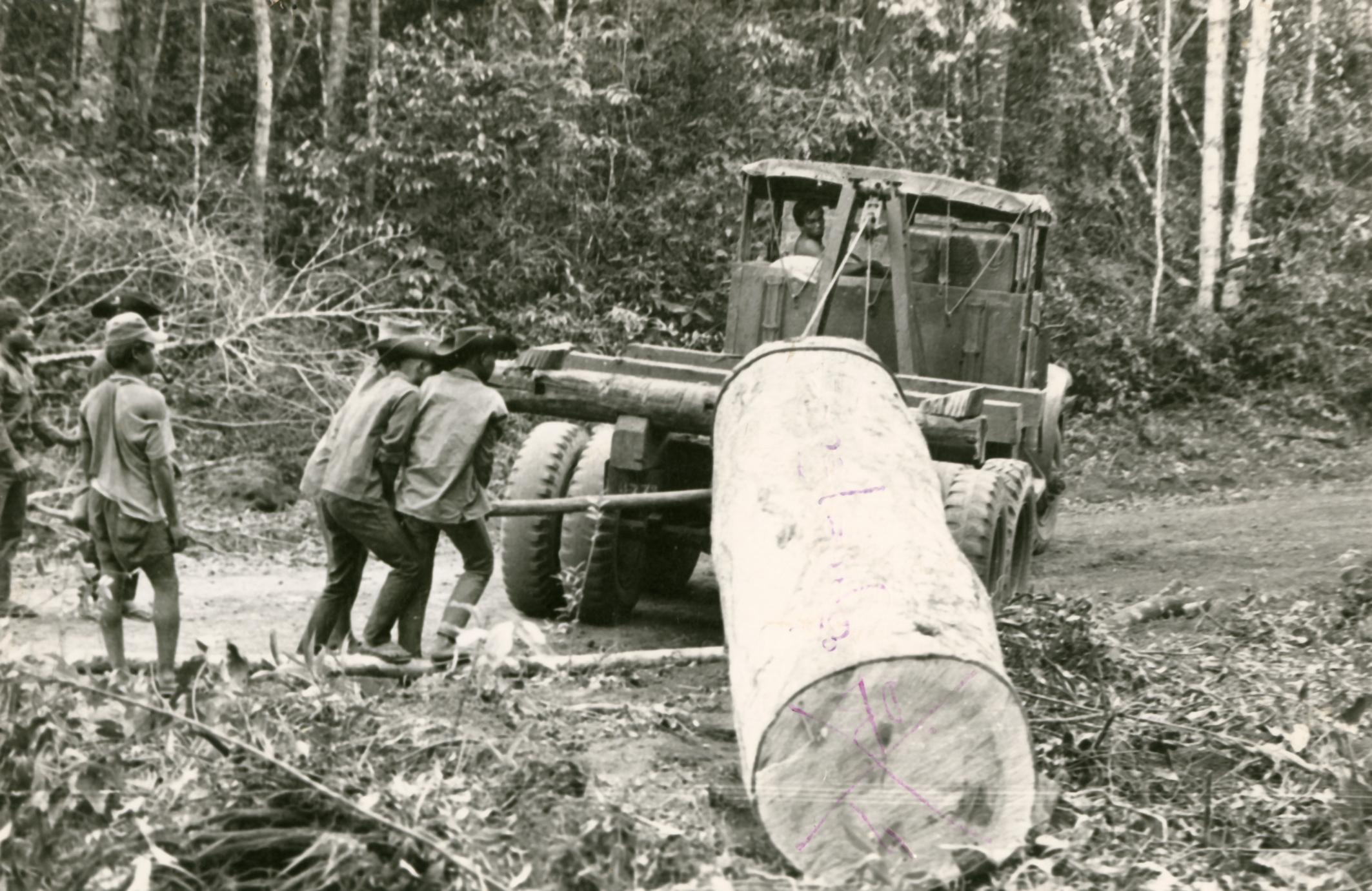 Logging in Attapu Province