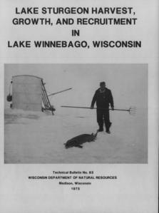 Lake sturgeon harvest, growth, and recruitment in Lake Winnebago, Wisconsin