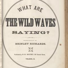 What are the wild waves saying?