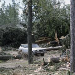 Tornado damage