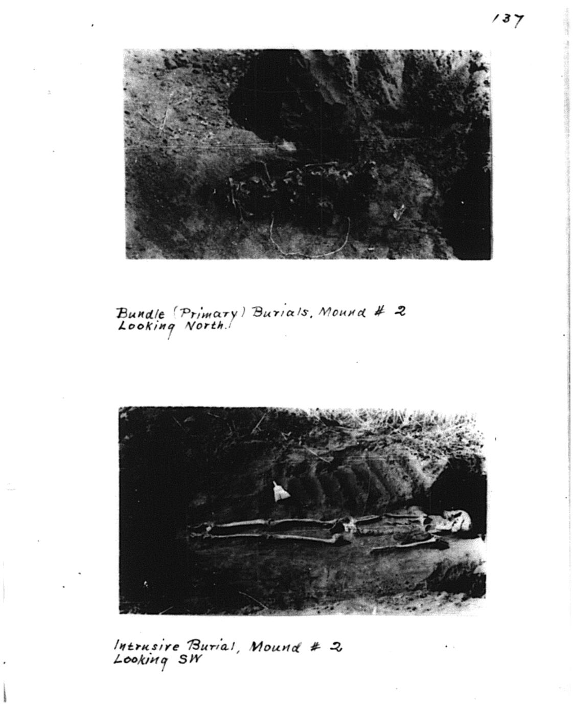 Iowa archaeological reports 1934 to 1939. Volume III, Surveys and ...