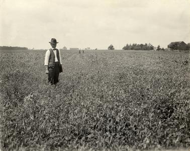 E.J. Delwiche in field of peas