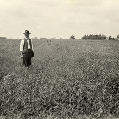 E.J. Delwiche in field of peas