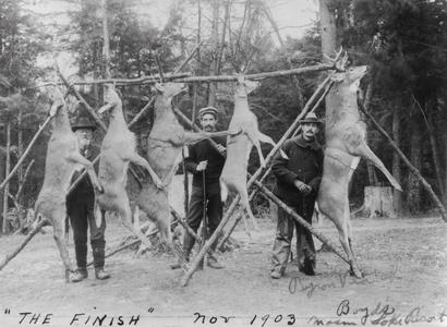 Hunters with deer hanging from pole