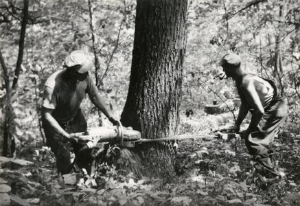 Logging operation
