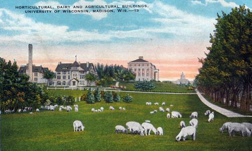 Agricultural Campus, ca. 1913