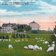 Agricultural Campus, ca. 1913