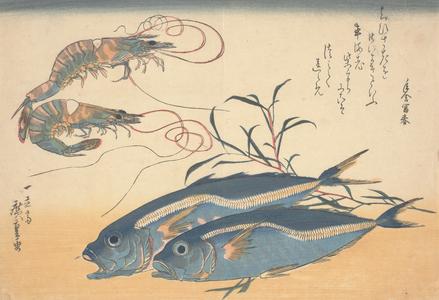 Two Horse Mackerel and Two Shrimp, from a series of Fish Subjects