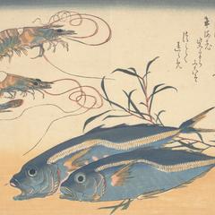 Two Horse Mackerel and Two Shrimp, from a series of Fish Subjects