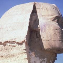 Close-up View of Head of Sphinx