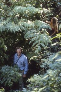 Paul Sorensen and Penny Matekaitis with tree fern
