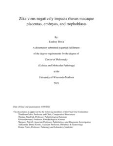 Zika virus negatively impacts rhesus macaque placentas, embryos, and trophoblasts