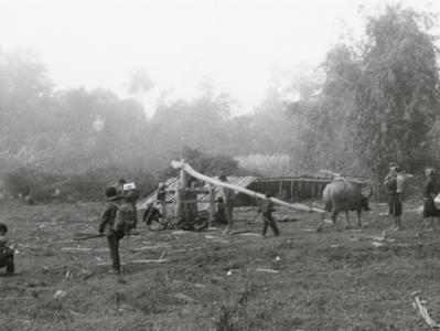 A sugar cane press in use near Muang Meung in Houa Khong Province