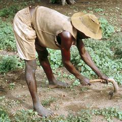 Man Hoeing on Farm in Sisalaland in Northern Ghana
