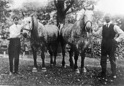 Standard Oil Company, Waukesha, horses
