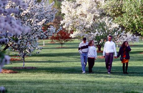 Spring blossoms at the UW Arboretum