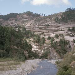 Cornfields, valley of Río Selegua