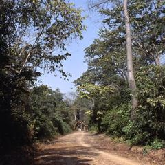 Road near Osun Shrine