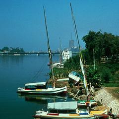 Feluccas (Sailing Boats) on Bank Nile River in Cairo