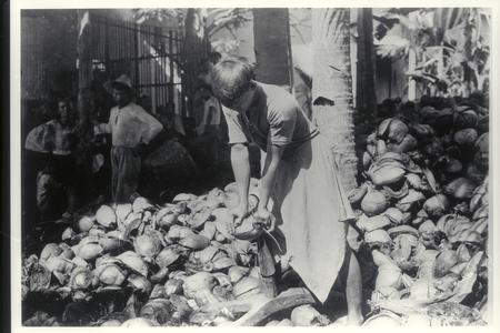 Husking coconuts, 1920-1928