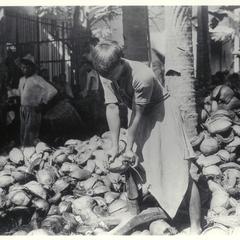 Husking coconuts, 1920-1928