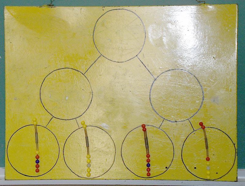 ‎Pop beads on a meiotic diagram modeling the end of meiosis UWDC UW