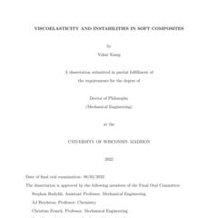 VISCOELASTICITY AND INSTABILITIES IN SOFT COMPOSITES