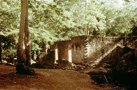 Ruins of the Palace of the Ruler of Gedi