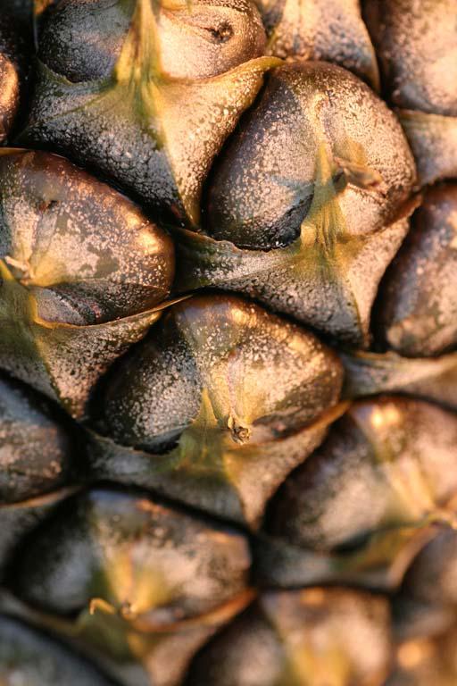 Texture of a pineapple showing bracts with axillary fruits