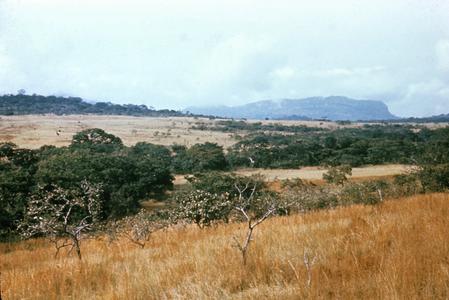 Landscape in the Futa Jalon