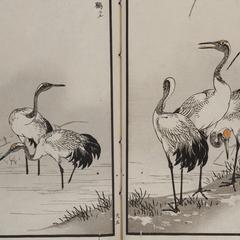 Japanese Illustrated Books from the Late Edo Period