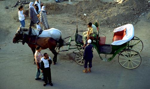 Carriage at Djemaa el-Fna Square