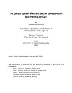 The genetic control of market class in carrot (Daucus carota subsp. sativus)