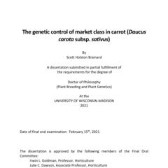The genetic control of market class in carrot (Daucus carota subsp. sativus)