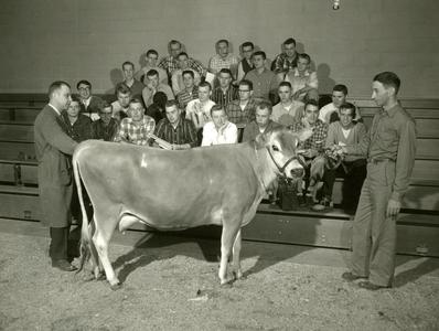 Cattle research class
