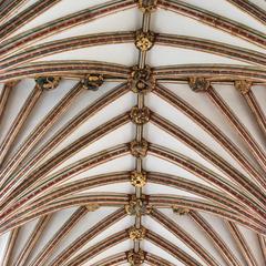 Exeter Cathedral interior presbytery vaulting