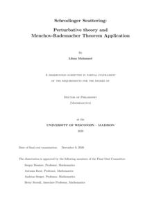 Schrodinger Scattering: Perturbative theory and Menchov-Rademacher Theorem Application