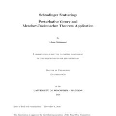 Schrodinger Scattering: Perturbative theory and Menchov-Rademacher Theorem Application