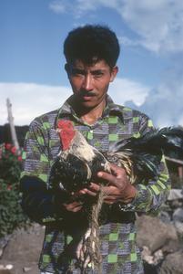 Man and rooster, near Morelia