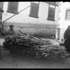 Sled loaded with sugar cane